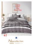 6 PCS Duvet Cover Set