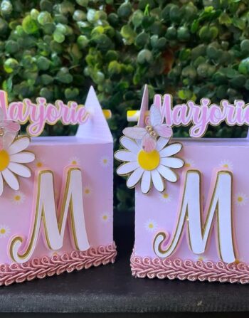 3D Cocomelon & JJ party box (Copy)